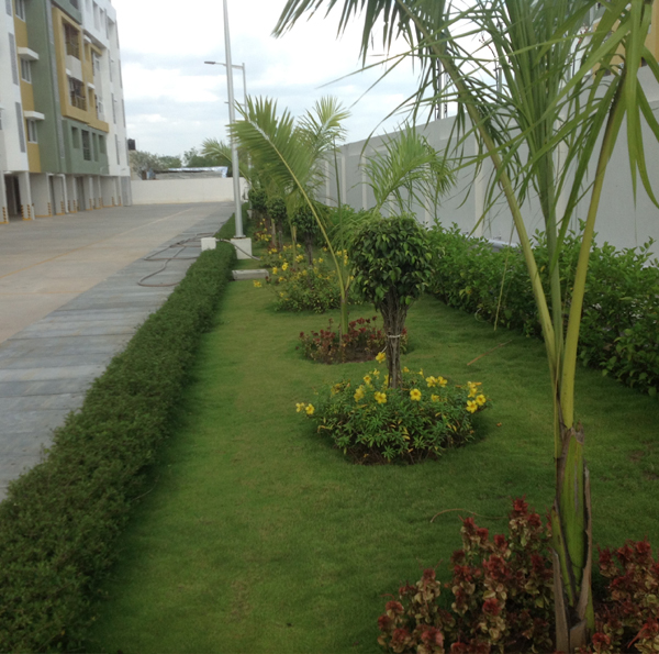 garden management in chennai, terrace gardens in chennai, swimming pool designers in chennai, swimming pool maintenance in chennai, gardening in chennai, landscape architects in chennai